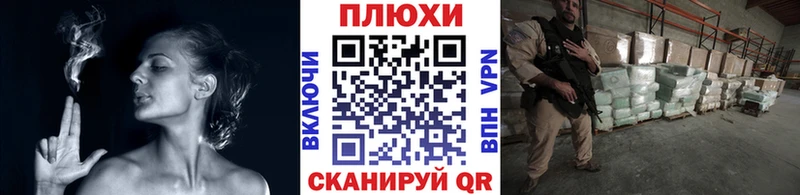 Купить где Боровичи ГАШ Premium
