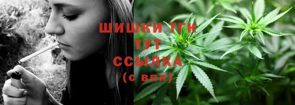 прущие грибы Кулебаки
