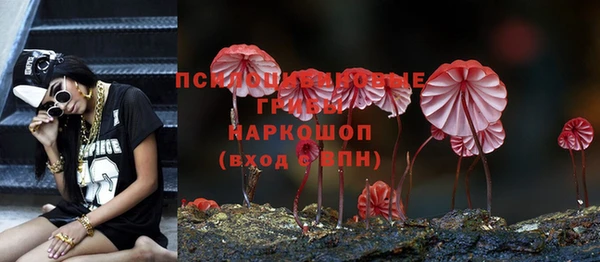соль ск Лагань