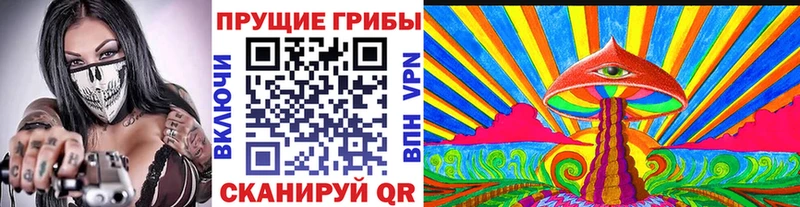 Псилоцибиновые грибы прущие грибы Боровичи
