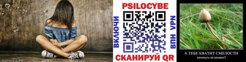 Купить где Боровичи Галлюциногенные грибы ЛСД